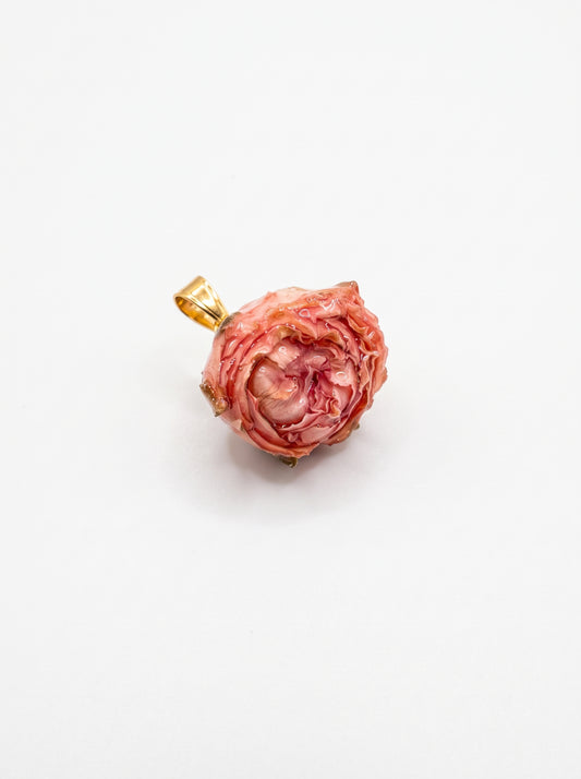 Charm Rosellina