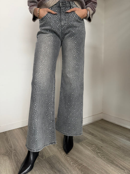 Jeans Grigio Brillanti