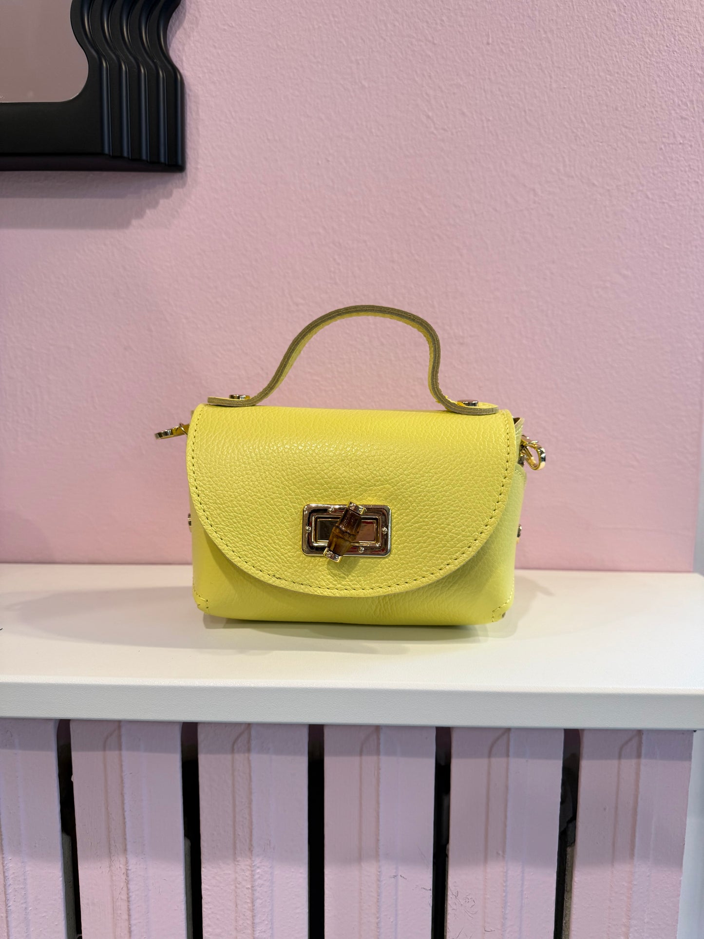 Borsa Anita